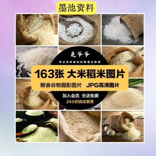 高清美食菜谱JPG大米稻米粮食素材