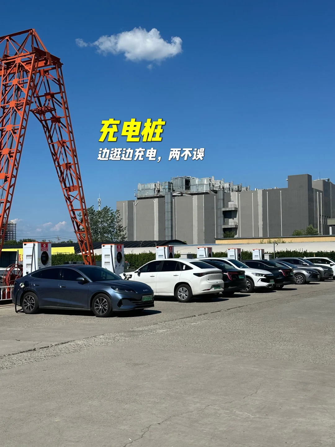 ?建材城里还能这么玩❓