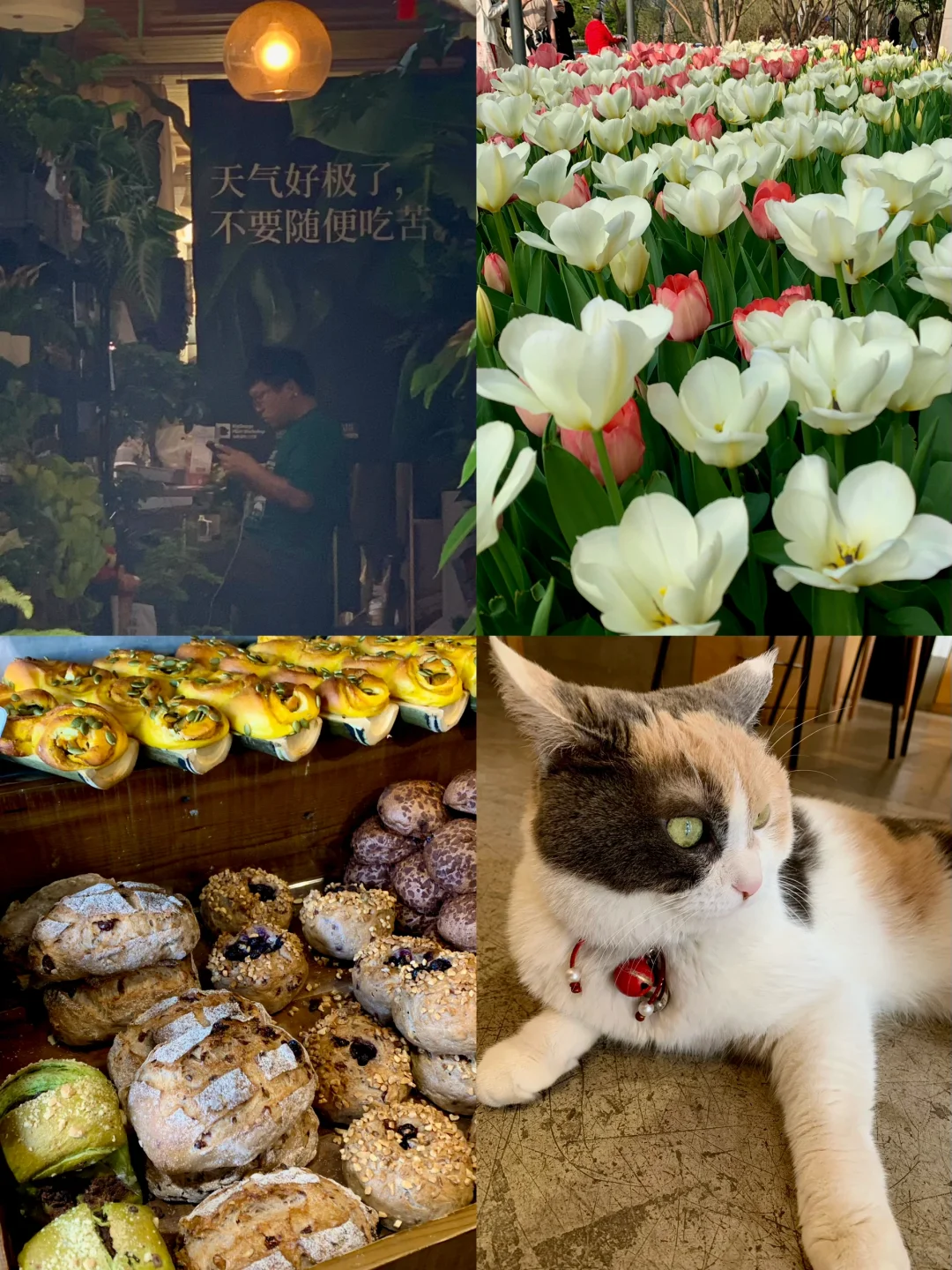 政府采购7️⃣种方式区分（详细版）