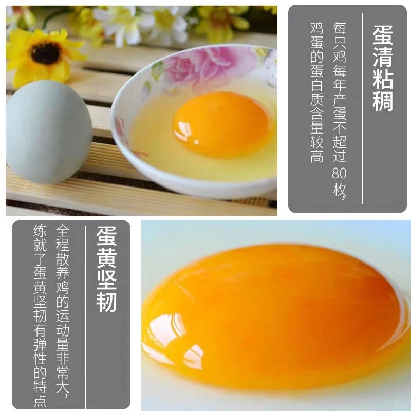 这里产的绿壳鸡蛋你吃过吗？