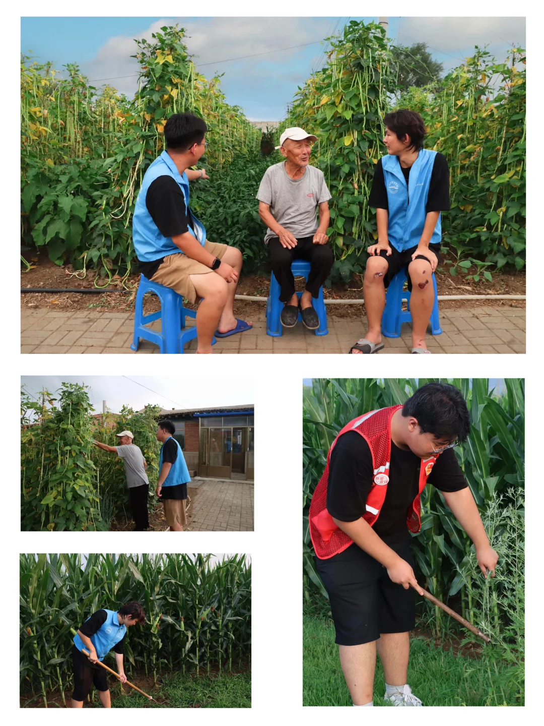 辽传三下乡实录✨把课堂搬去乡村,这才是青春