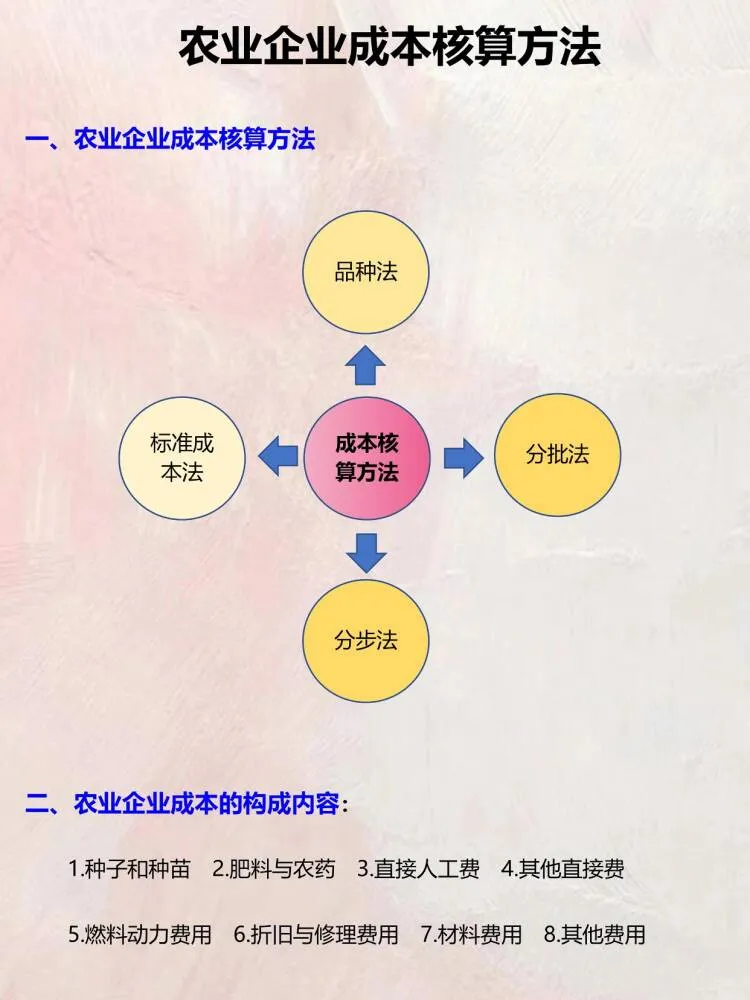农业会计账务全盘处理+成本核算