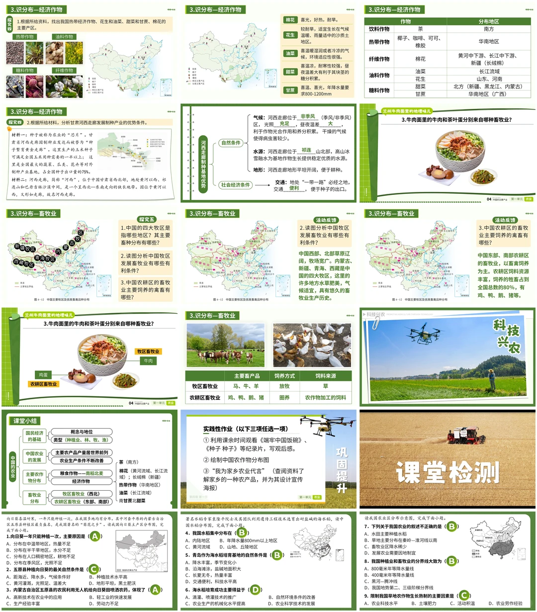 八上地理|从兰州牛肉面到《中国的农业》