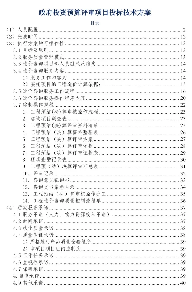 政府投资预算评审项目投标技术服务方案