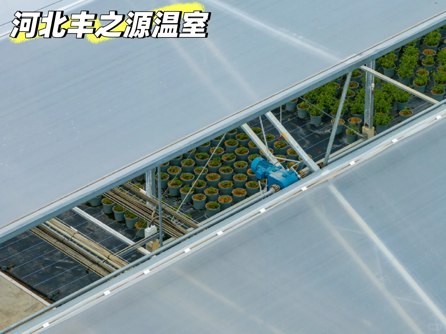 从0到1，见证一座玻璃温室的诞生