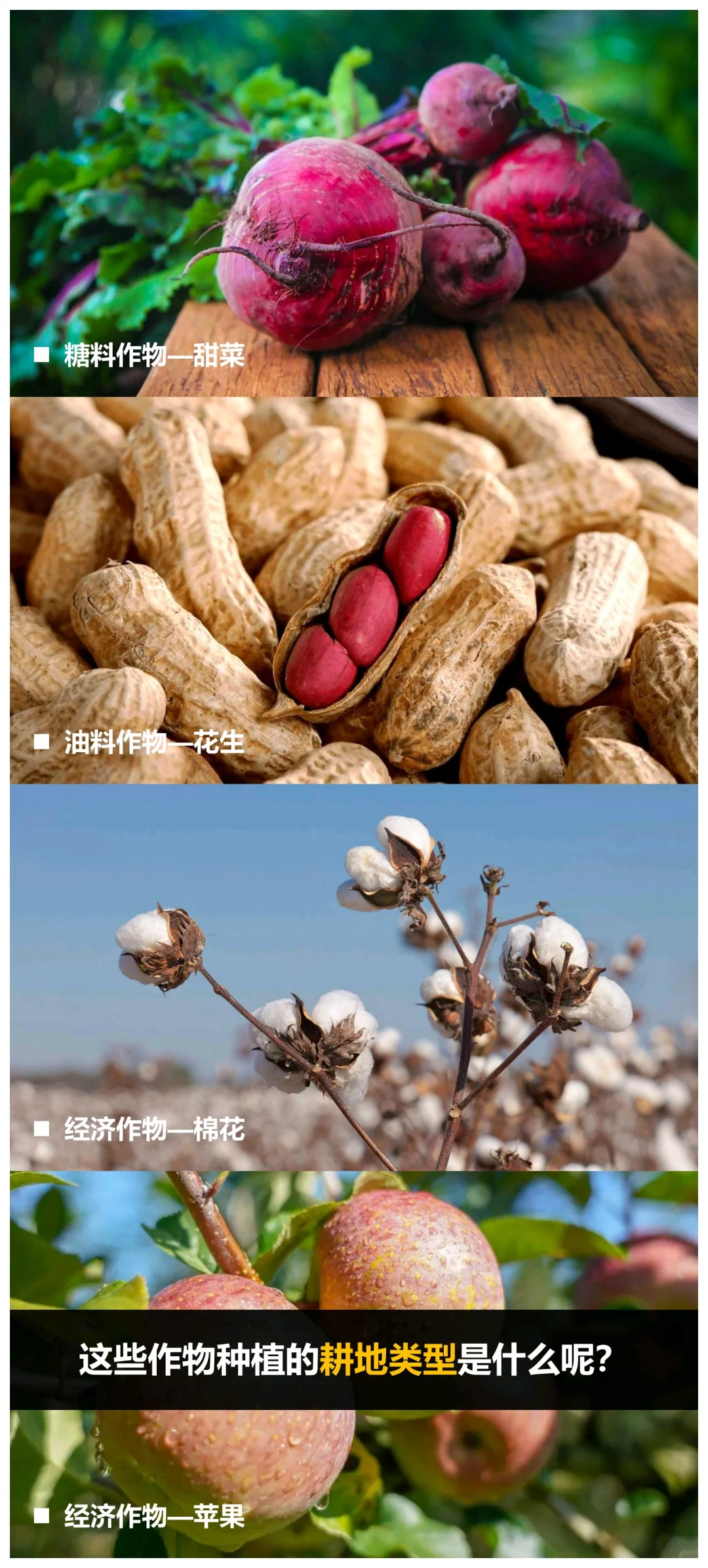 八下地理《北方地区》