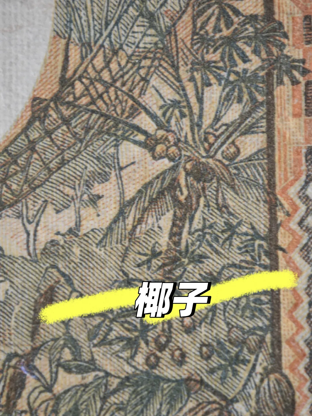 1965年1000西非法郎：一张经济作物大观园