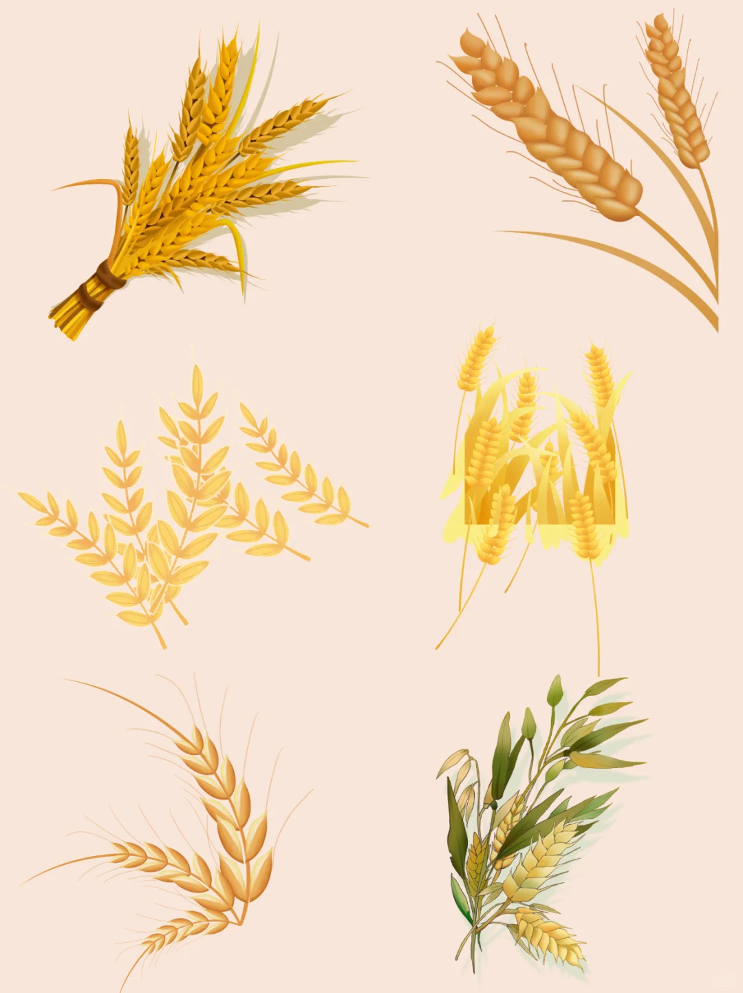 ?世界粮食日素材小麦粮仓