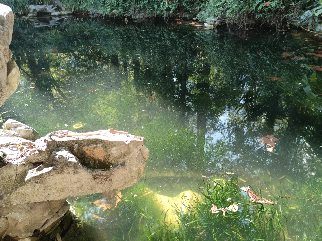 水下森林奇迹,生态界面打造完美水生生态!