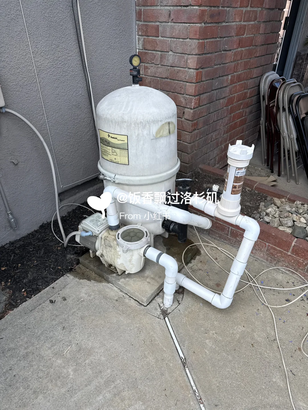 48小时泳池救活记｜新手也能搞定绿汤水