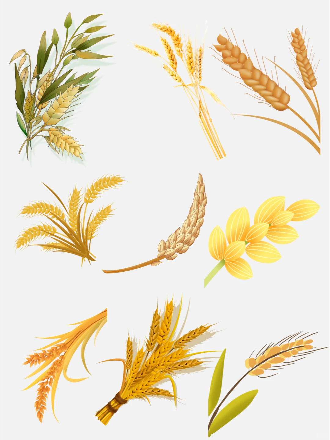 世界粮食日?粮食丰收 插画免抠素材