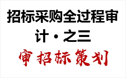 招标采购全过程审计 · 之三：审招标策划