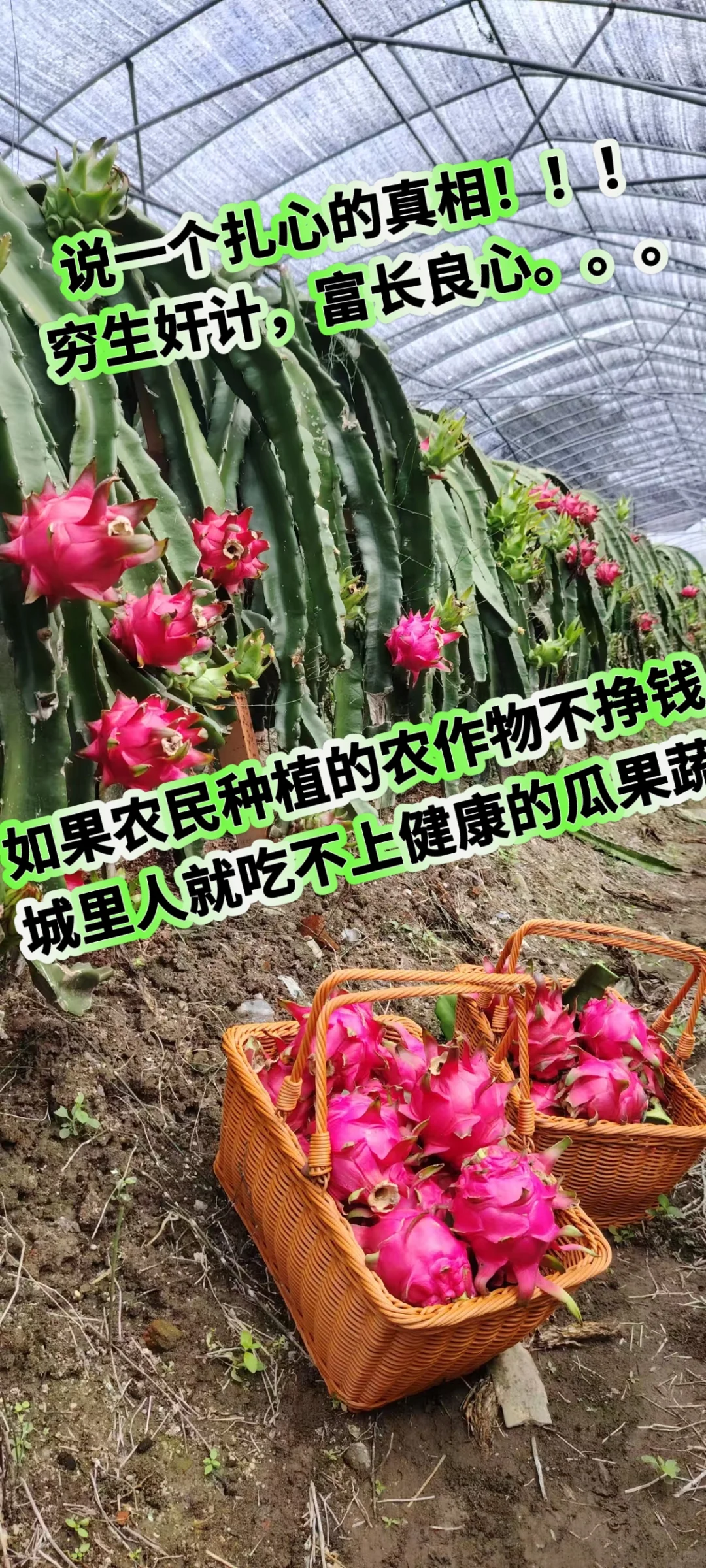 做农业是一场旷世持久战“穷生奸计，富长”