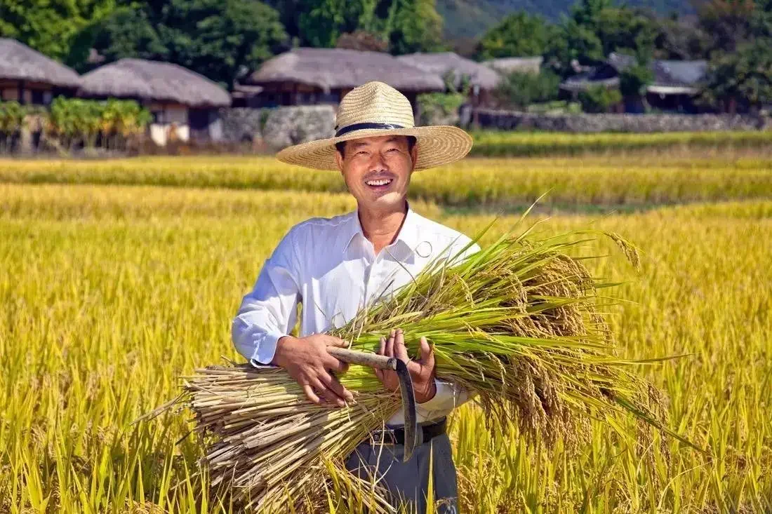 种粮有利可图，自然会有更多农民愿意种