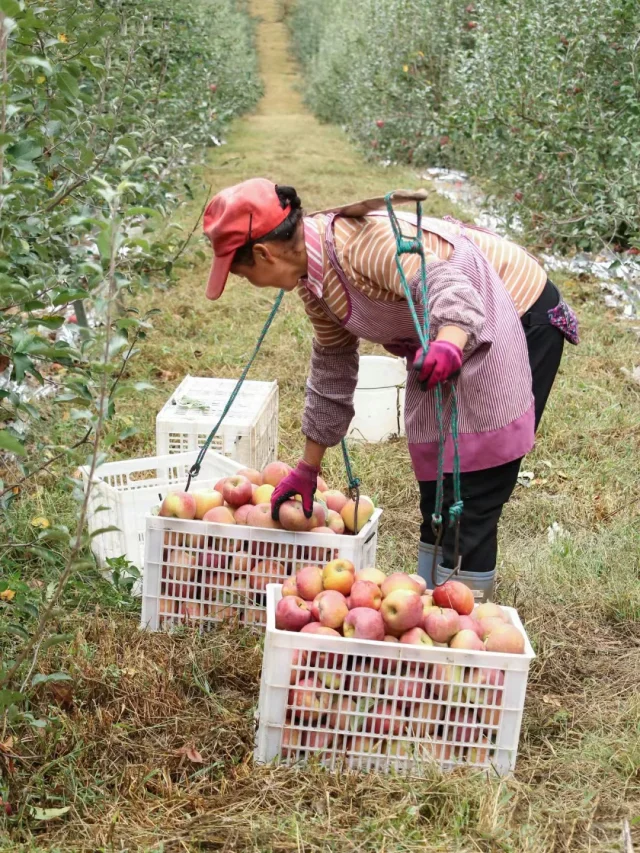 助农，我们在行动！❤️