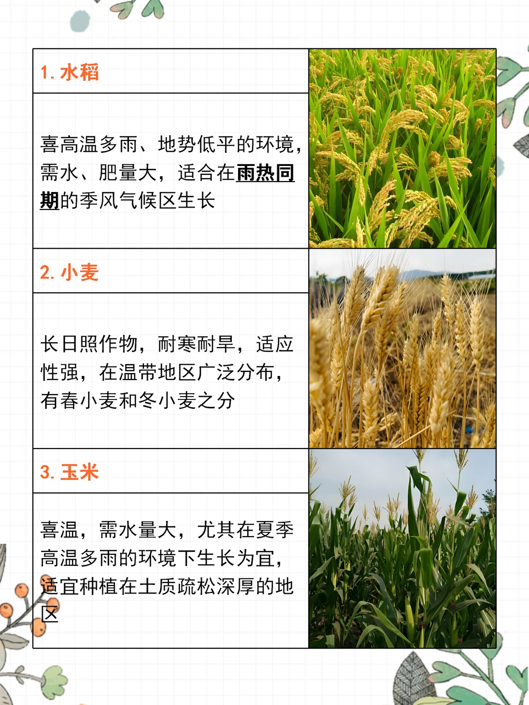 高考地理 | 15种农作物生长习性