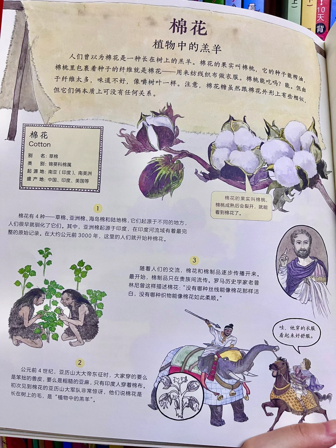 咋办呀!我真的沉醉在这绘本里了!命根子书!!