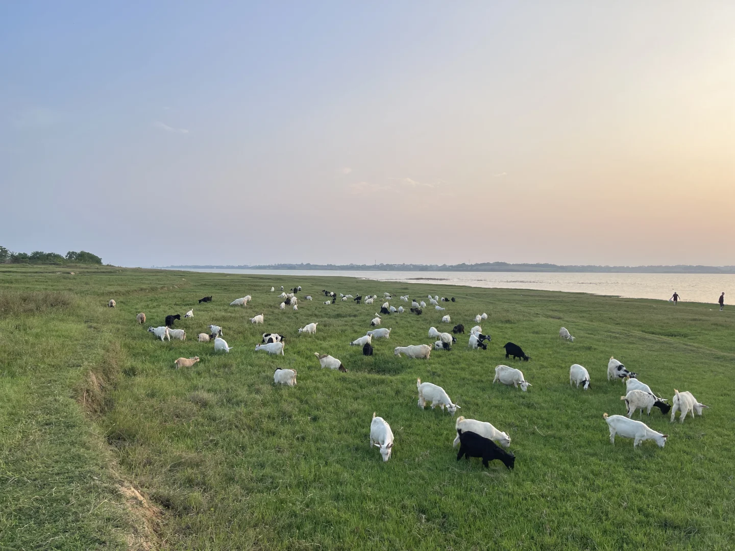 供应链金融的模式