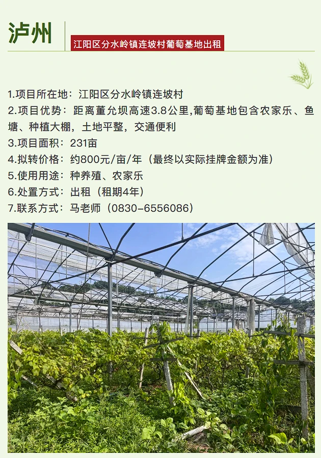 泸州 | “泸永江”农村资源要素机会清单