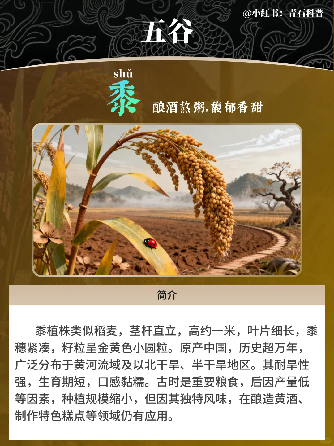 五谷，都包含哪五谷？