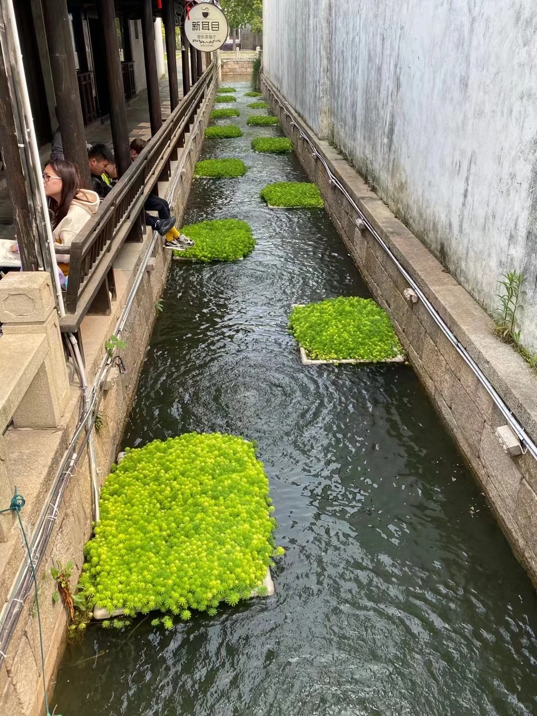 水生态修复美图