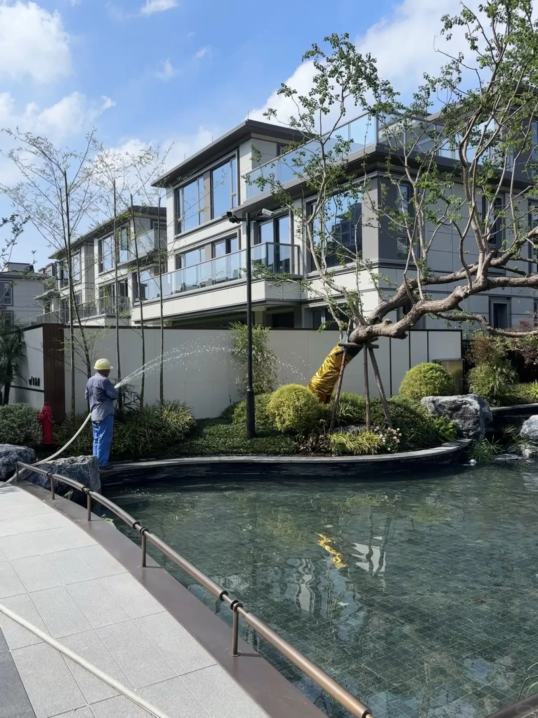 水系园林怎么打理啊