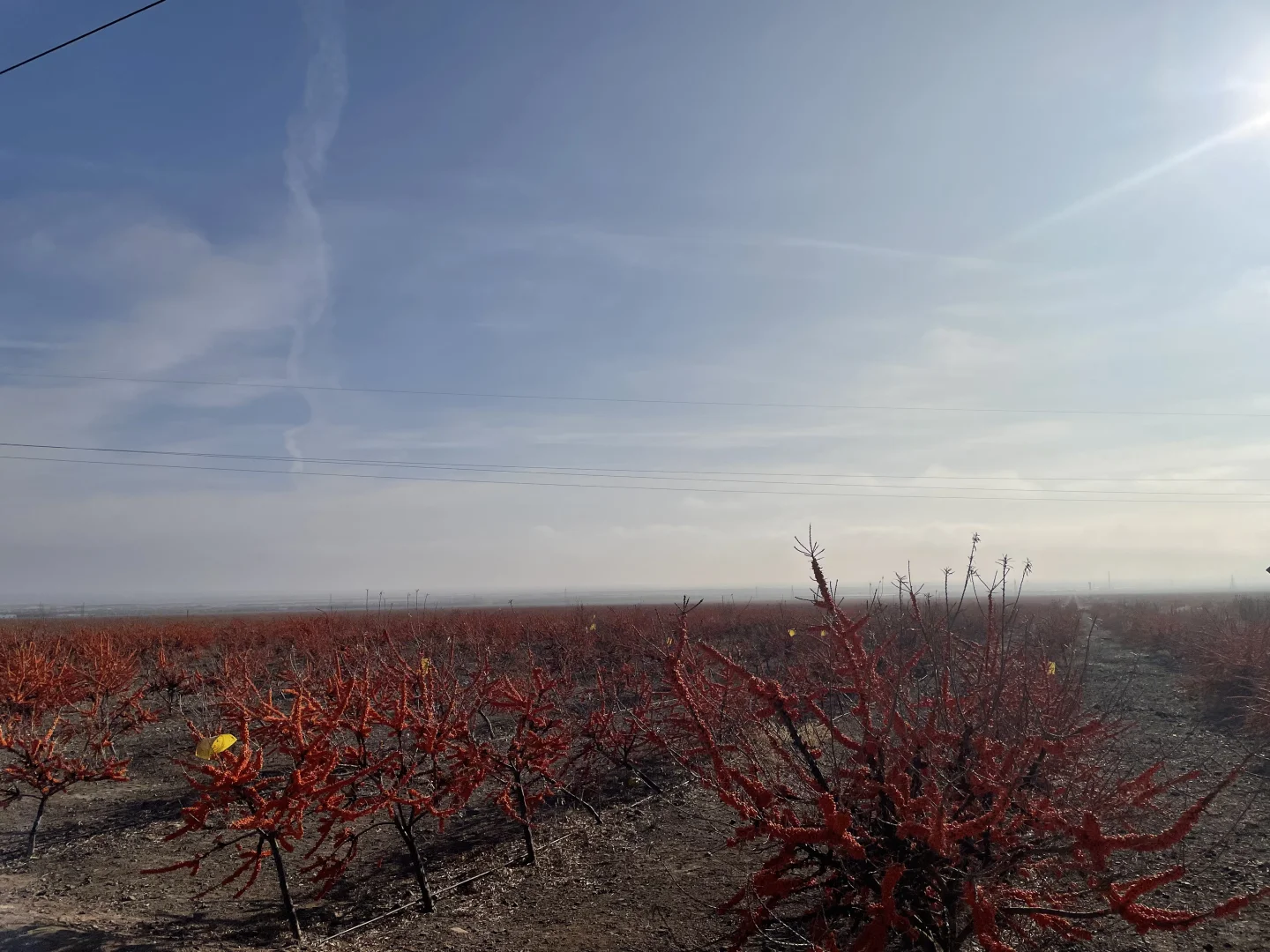 219之行—追云记11/27