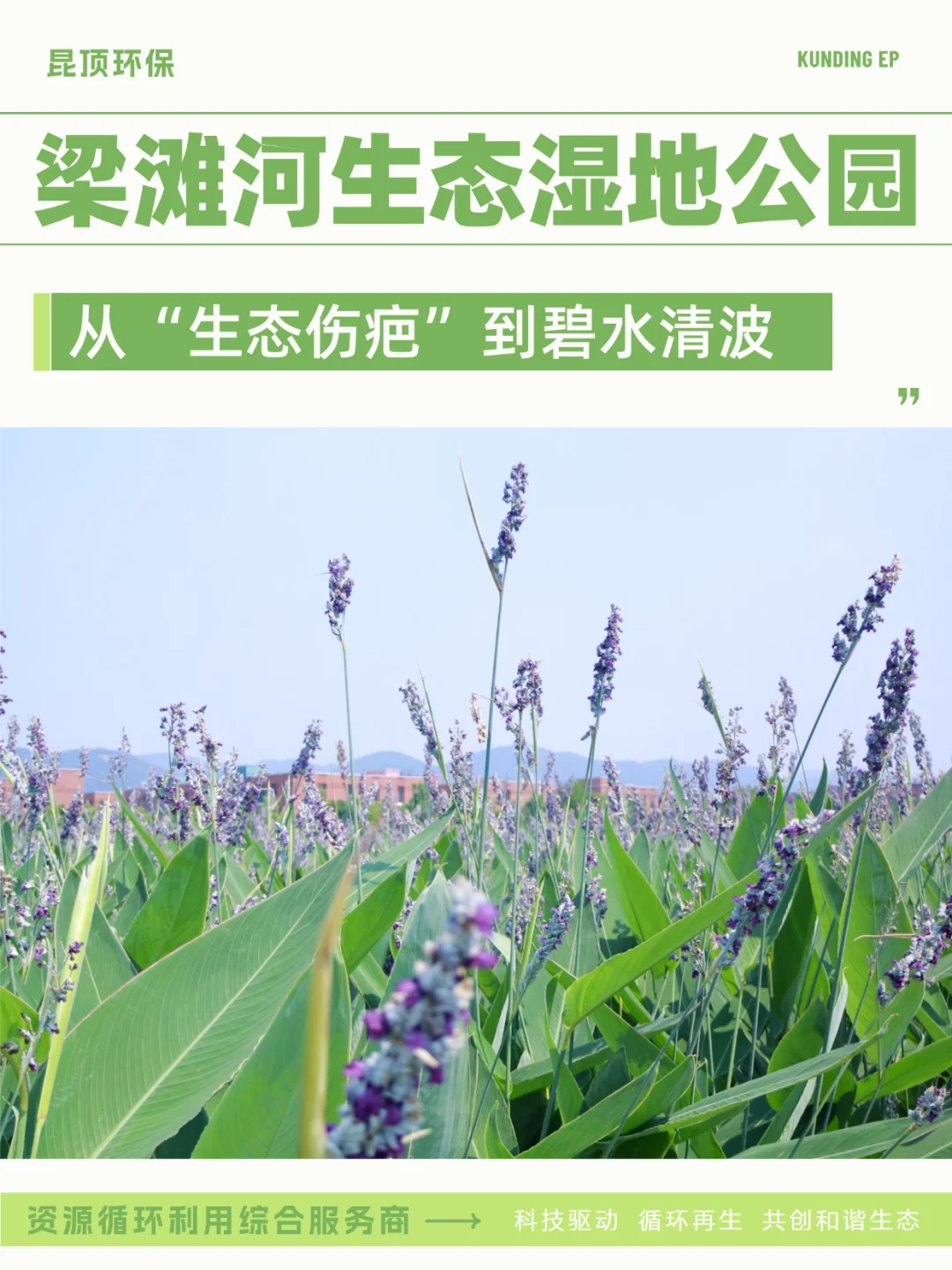 从生态伤疤到碧水清波 见证梁滩河重生