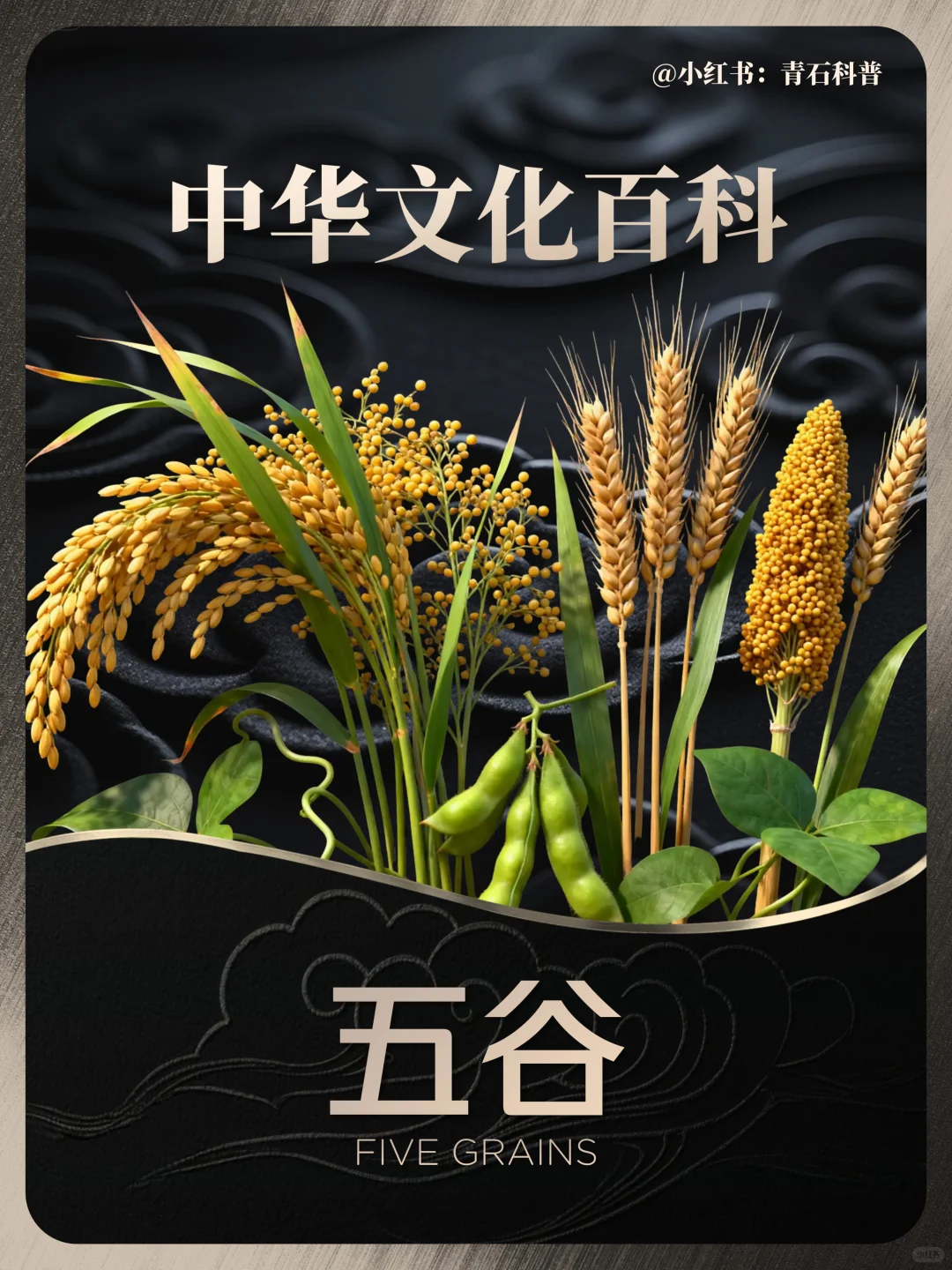 五谷，都包含哪五谷？