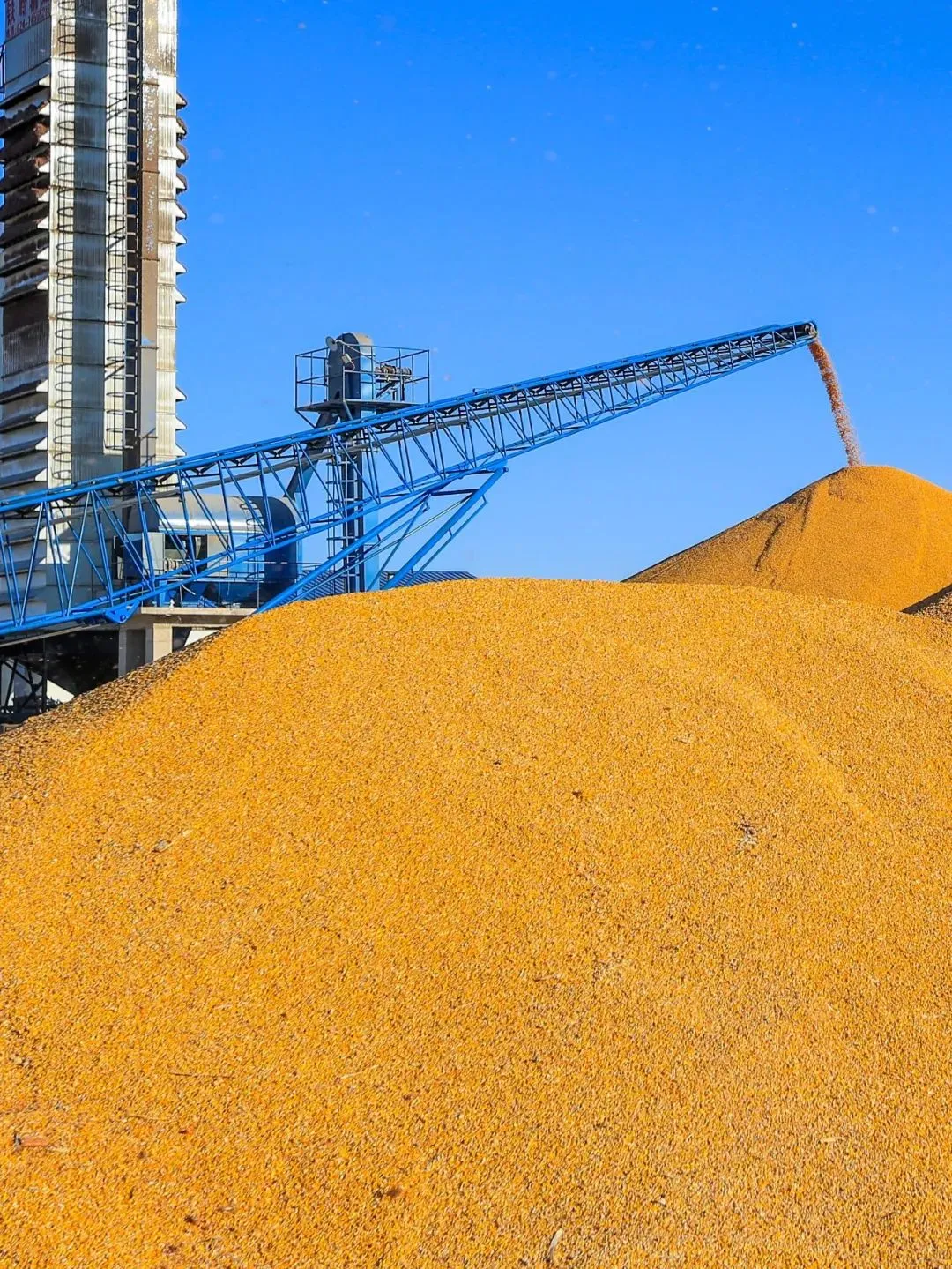 今天是第44个世界粮食日