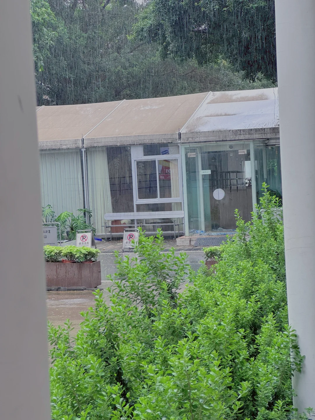 我好像真的在广州找到神仙工作