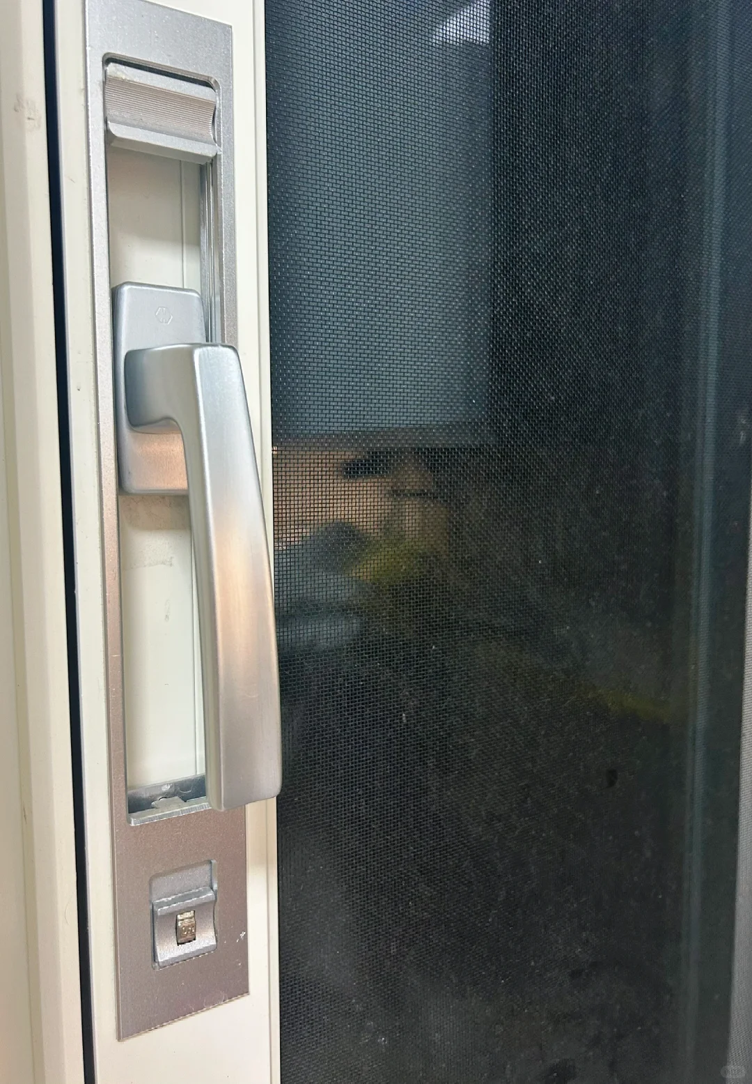 【德伦特系统窗】