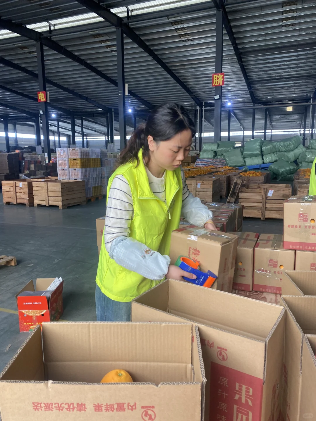 创新引领 · 品质至上