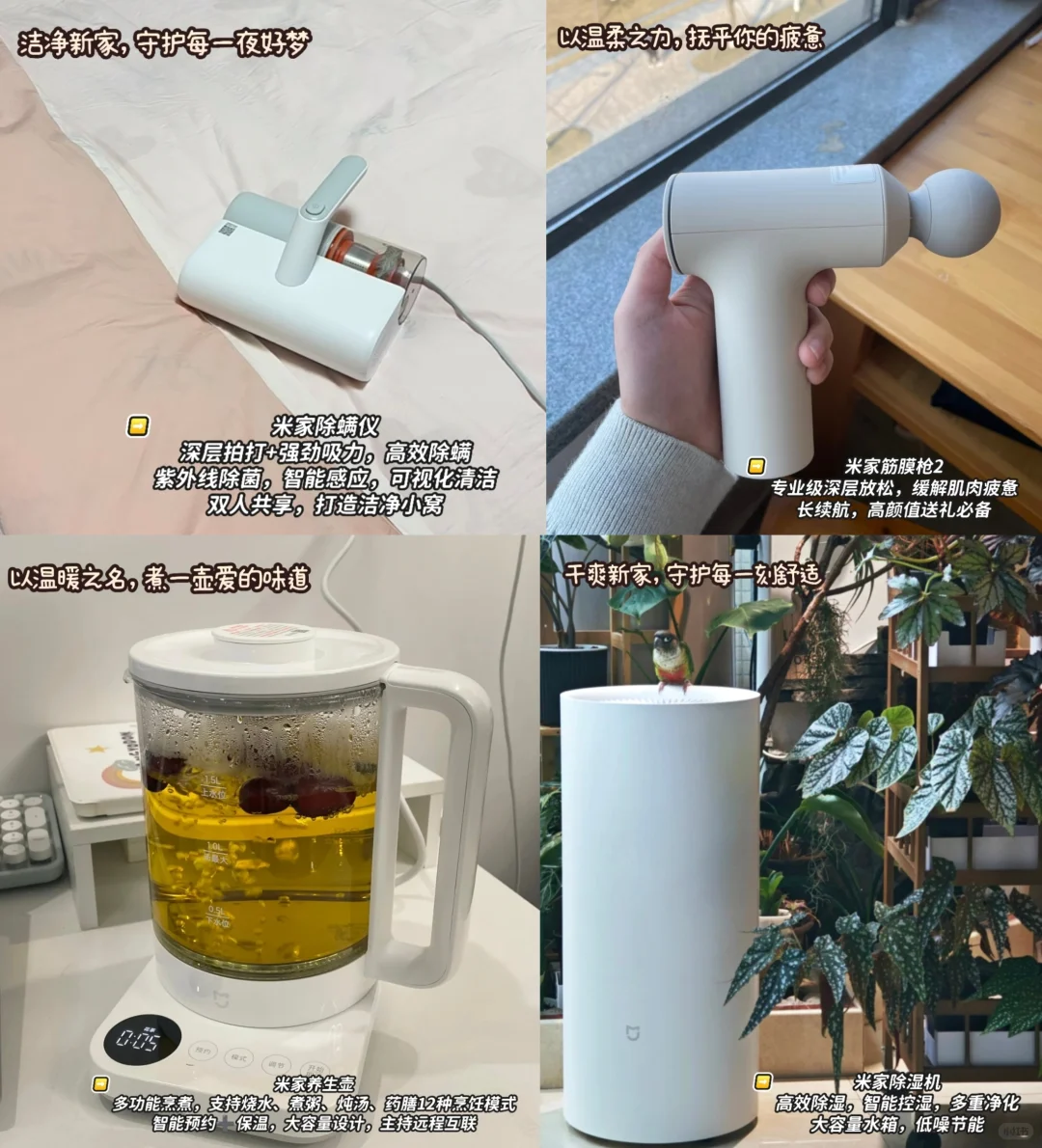 别愁了，情人节礼物?我给你准备好了