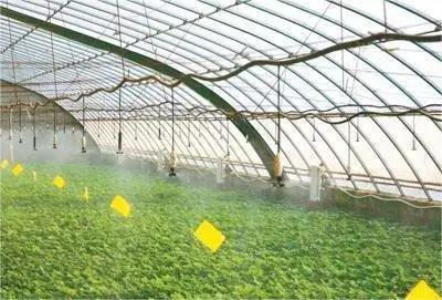 认养农业：乡村振兴的新引擎