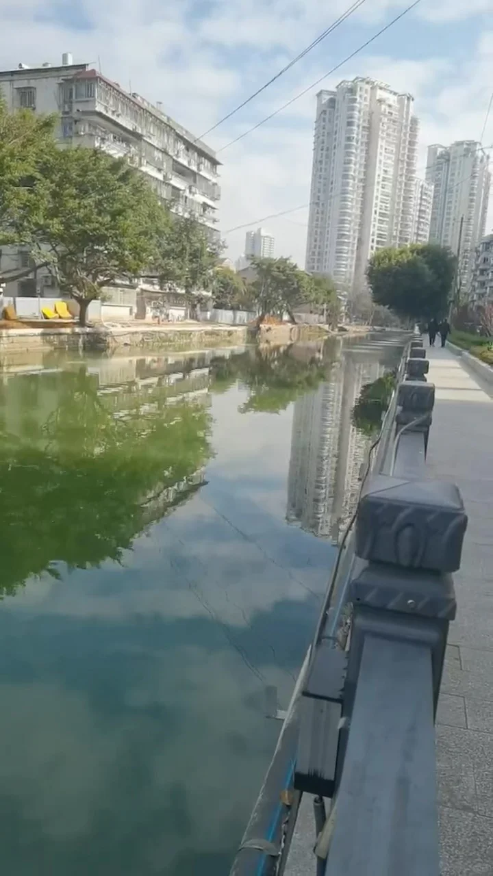 河道“闹脾气”?一键开启水质“救星”模式✨