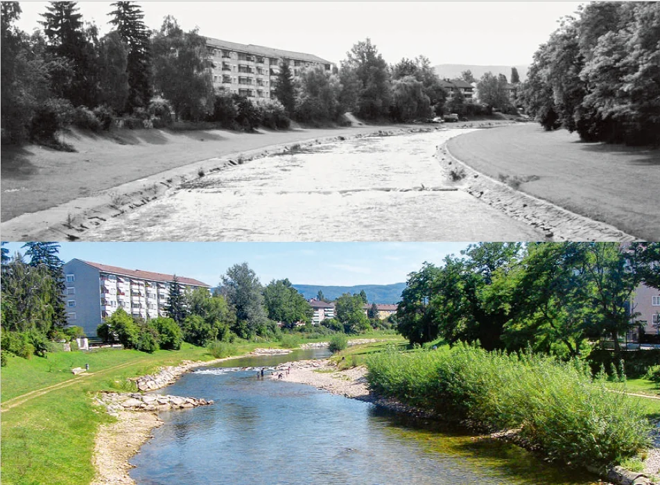 与水共舞:河流生态修复的美好愿景