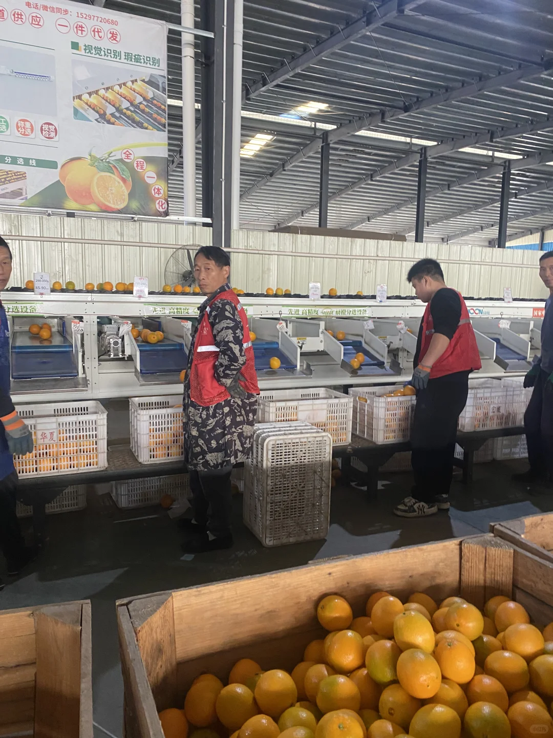 创新引领 · 品质至上