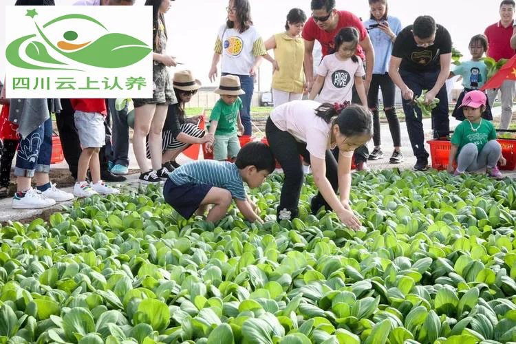 四川云上认养告诉你哪些农产品做认养农业？