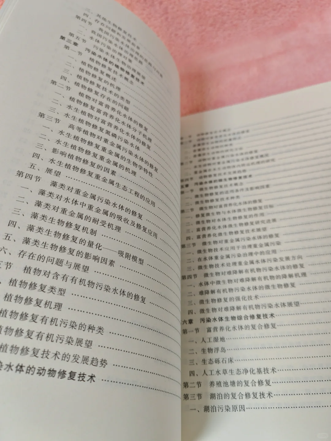 污染水体生物治理工程