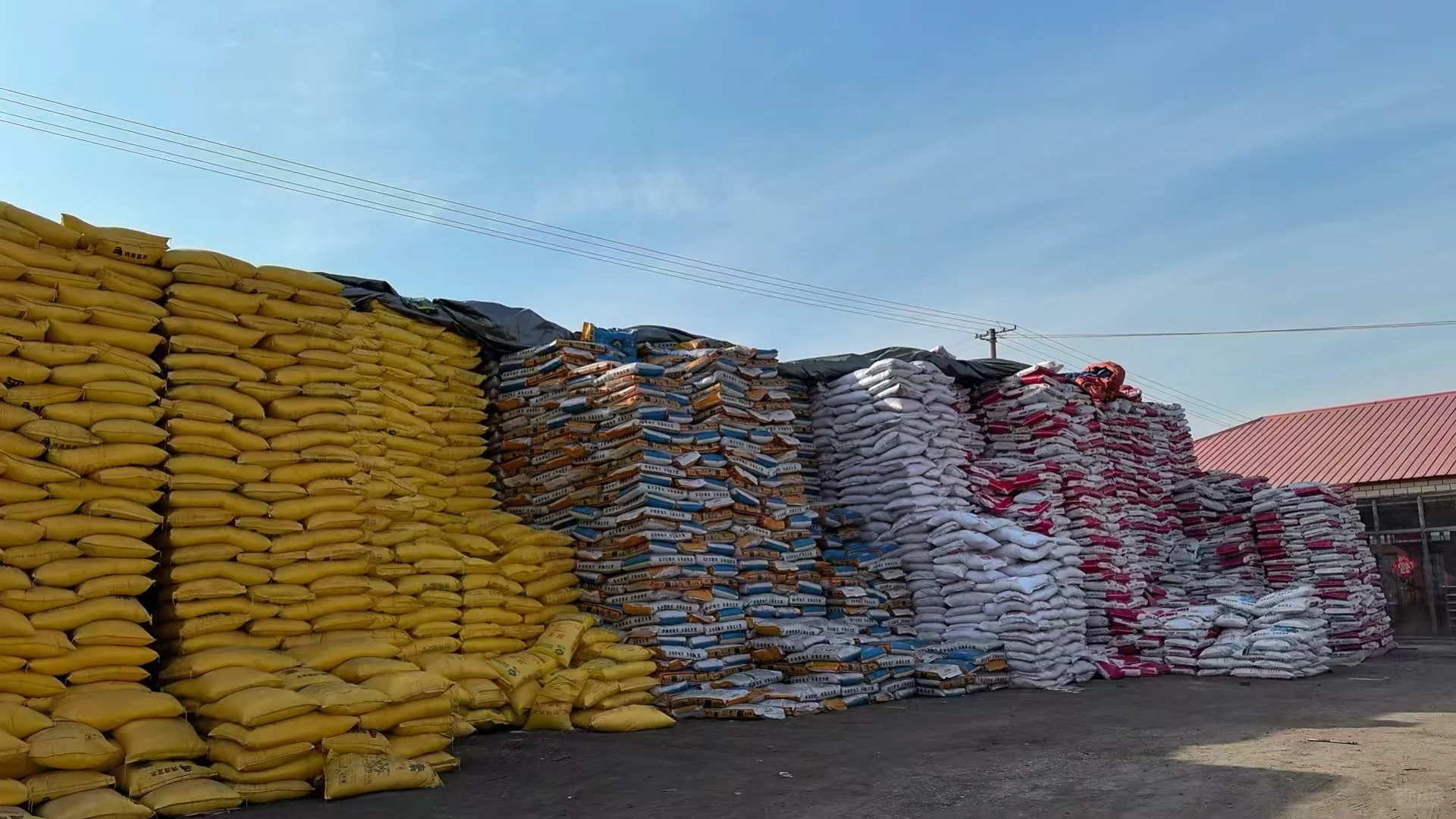 00后大学生，把爸妈的农资店干出了新花样！