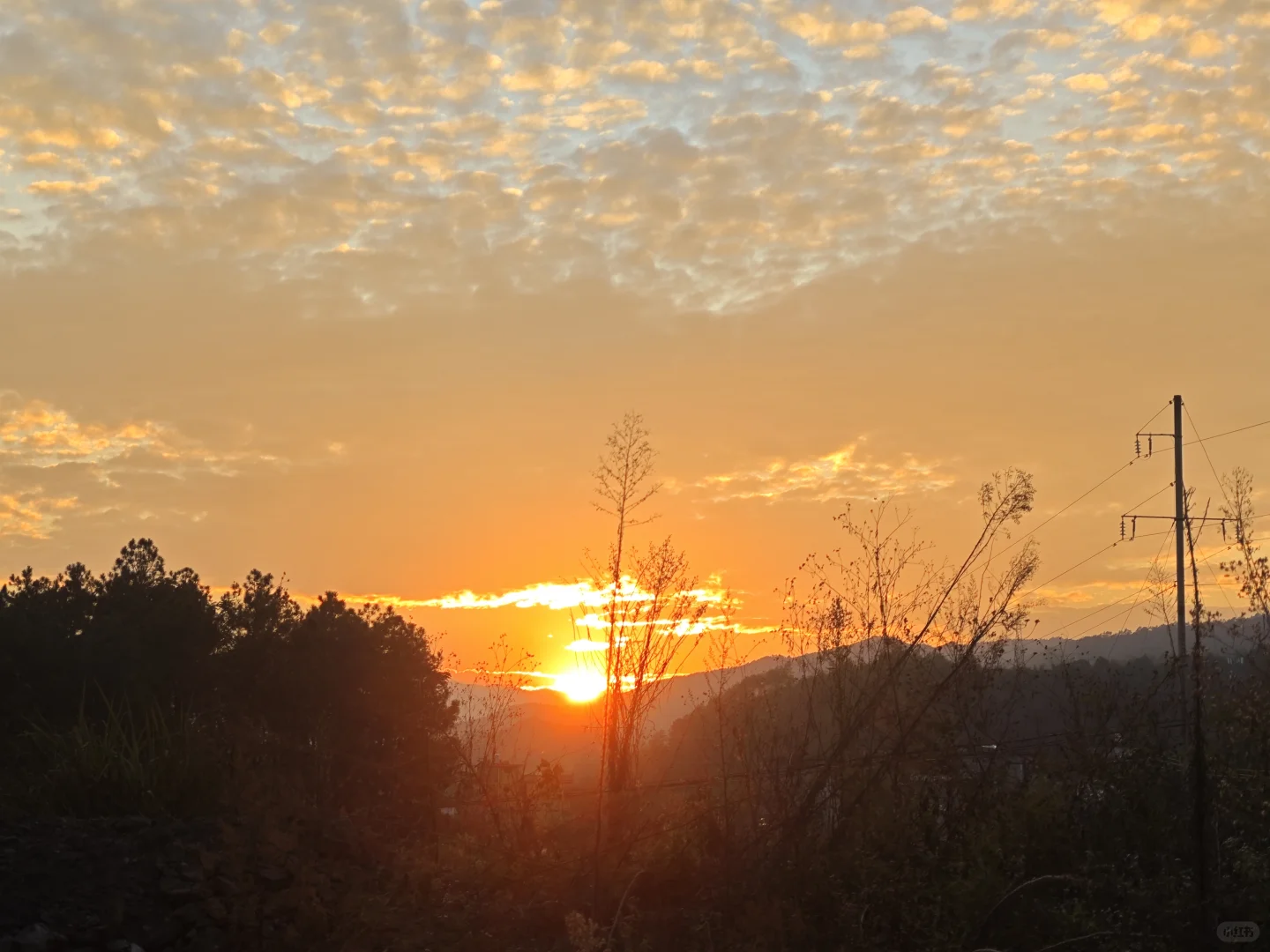 又是一年萝卜季