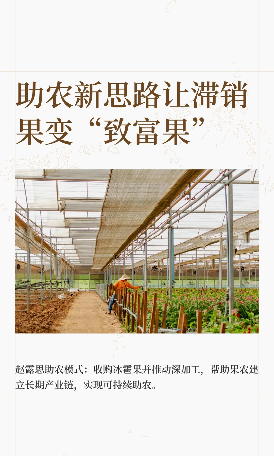 助农新思路：让滞销果变“致富果”