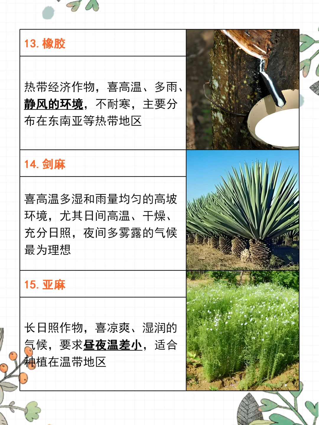 高考地理 | 15种农作物生长习性