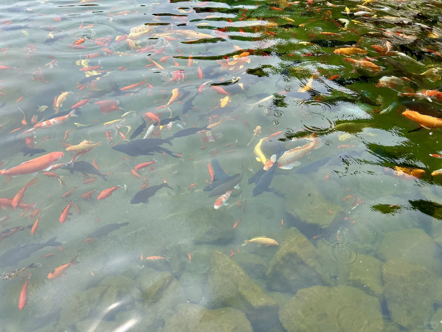 河北邯郸峰峰矿区黑龙洞小记