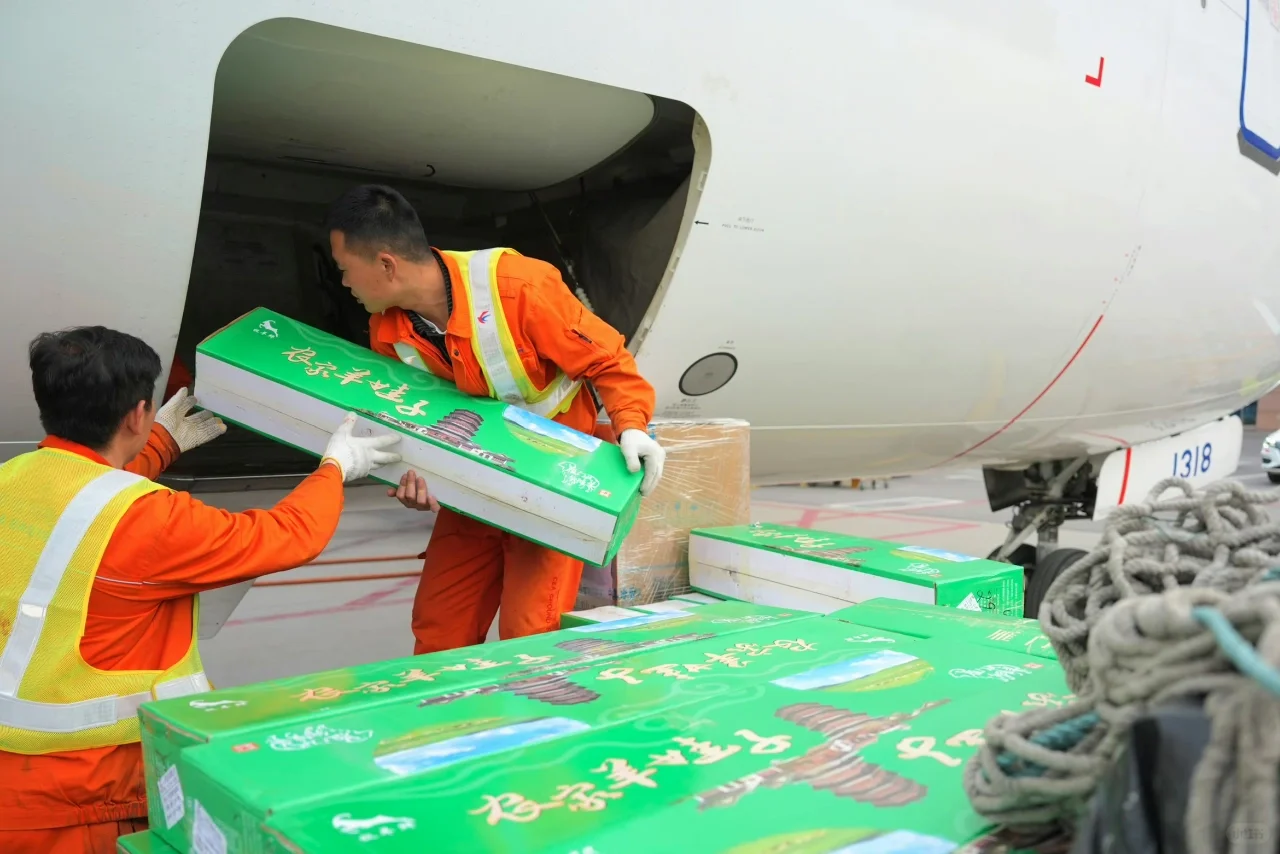 紧急文件、紧急货物如何坐飞机送货‼️