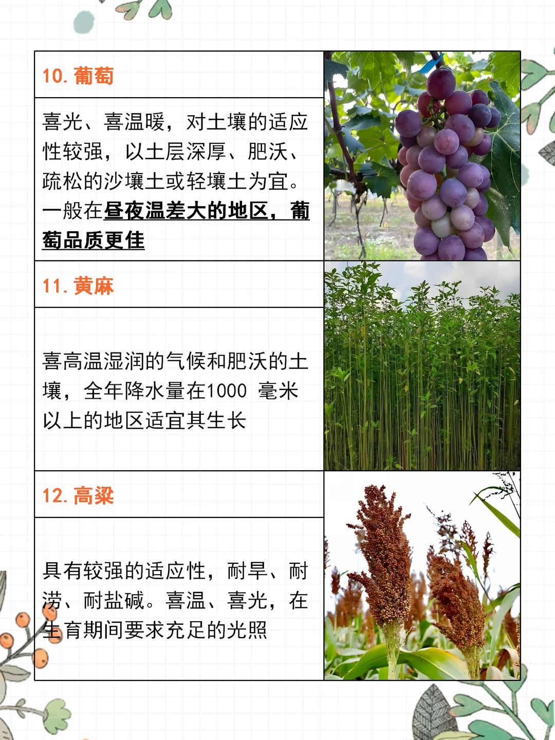 高考地理 | 15种农作物生长习性