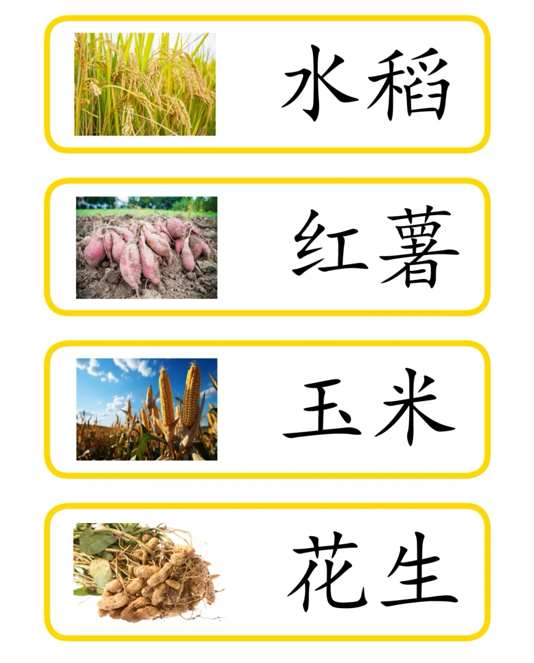 秋天收，三段卡