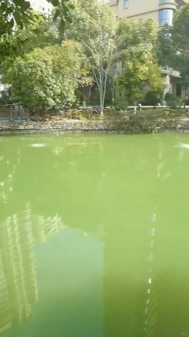 河道“闹脾气”?一键开启水质“救星”模式✨