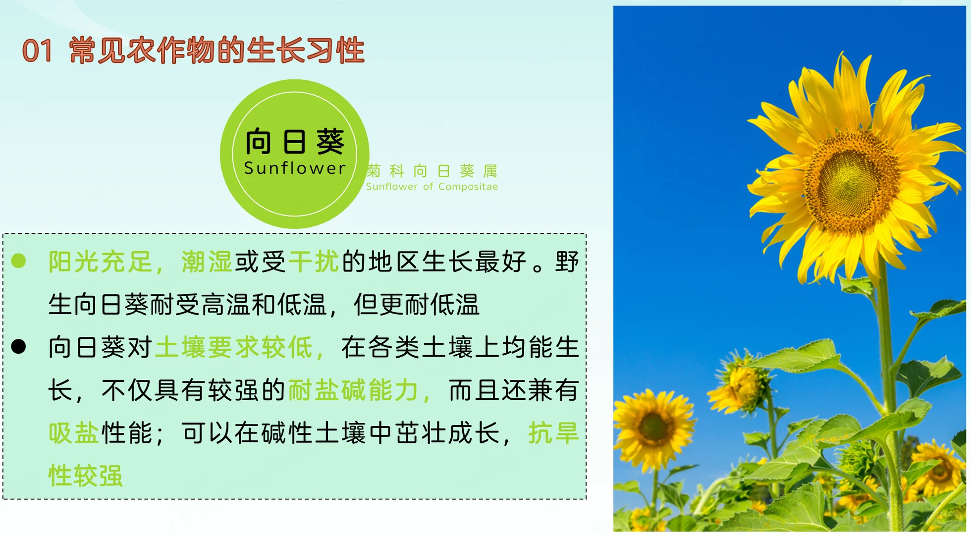 地理热点：常见农作物的生长习性